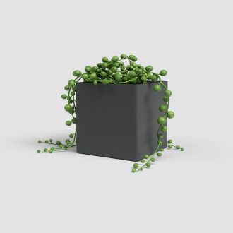 Oslo 31 Ma Anthracite