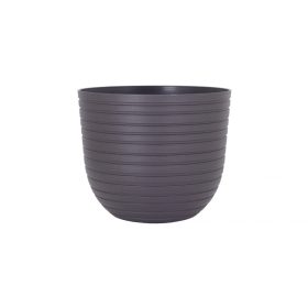 Havana Horizon 50 Ma Volcano Anthrac