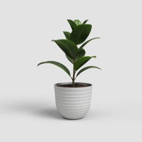 Havana Waves 50 Ma Limestone Grey