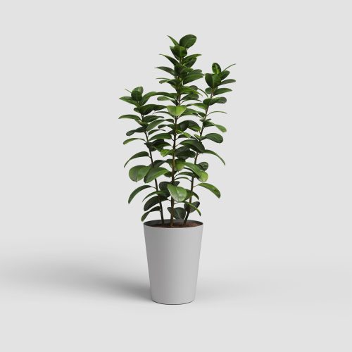 Porto High 50 Ma Light Grey