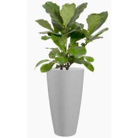 Havana Natural High 70 Ma Granite Wh