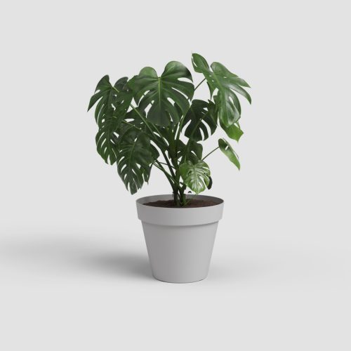 Capri 60 Ma Light Grey