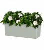 Rimini Plant Box Sws 51 Ma Light Gre