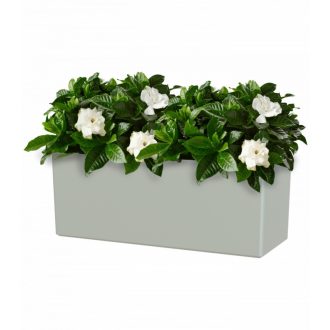 Rimini Plant Box Sws 51 Ma Light Gre