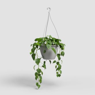 Algarve Hanging Basket 30 Ma Light G
