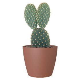 San Remo 20 Ma Terracotta