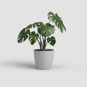 San Remo 30 Ma Light Grey