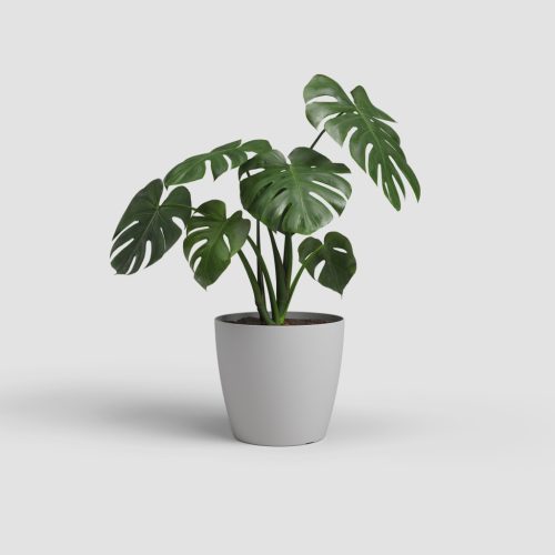 San Remo 30 Ma Light Grey