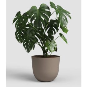 Havana Natural 20 Ma Linen Taupe