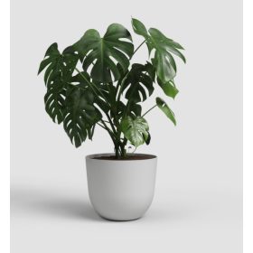 Havana Natural 20 Ma Limestone Grey