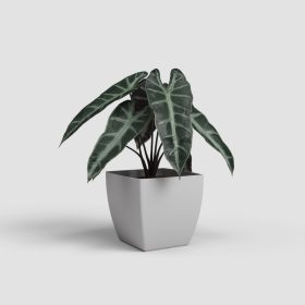 Siena 14 Ma Light Grey