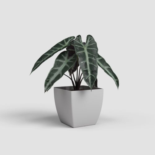 Siena 14 Ma Light Grey