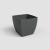 Siena 20 Ma Anthracite