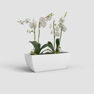 Siena Plant Box 40 Ma White