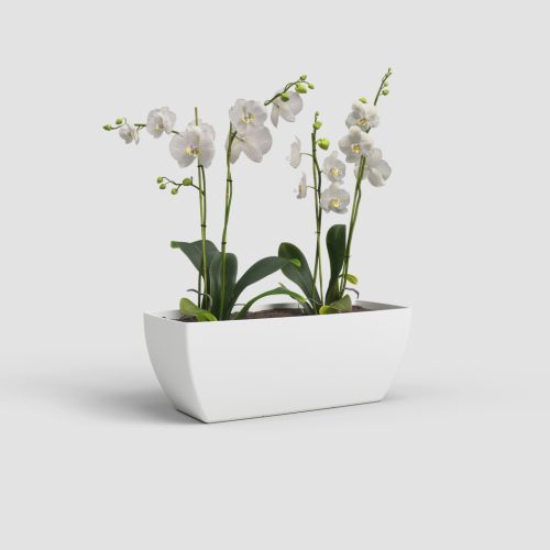 Siena Plant Box 40 Ma White
