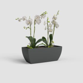 Siena Plant Box 40 Ma Anthracite