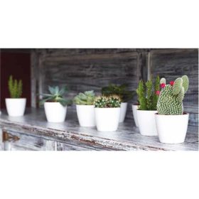 San Remo 42 Gl White