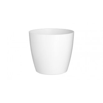 San Remo 25 Gl White