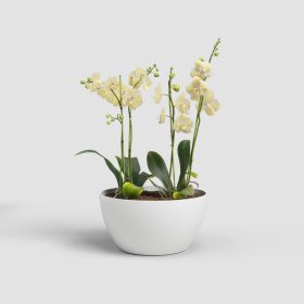 San Remo Bowl 32 Gl White