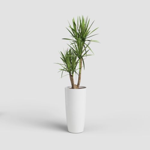 Santorini 40 Gl White