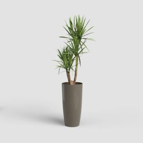 Santorini 40 Gl Taupe