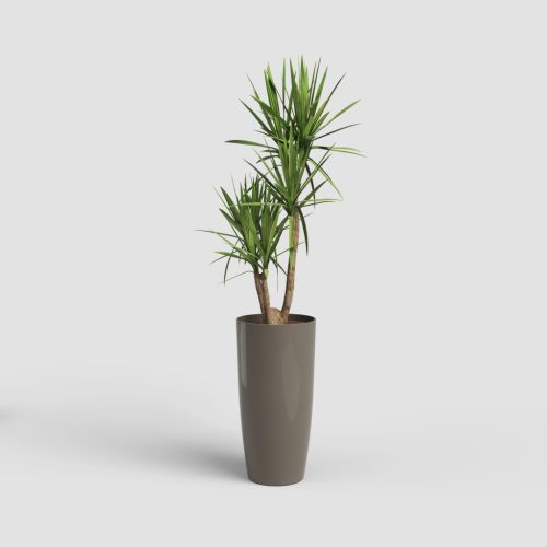 Santorini 40 Gl Taupe