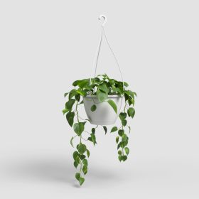 Algarve Hanging Basket 30 Ma White