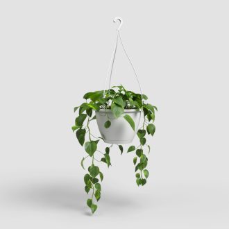 Algarve Hanging Basket 30 Ma White
