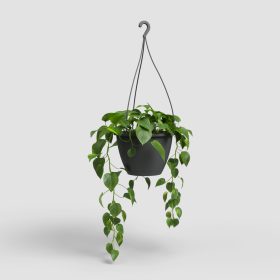 Algarve Hanging Basket 30 Ma Anthrac