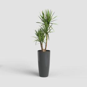 Santorini 40 Gl Anthracite