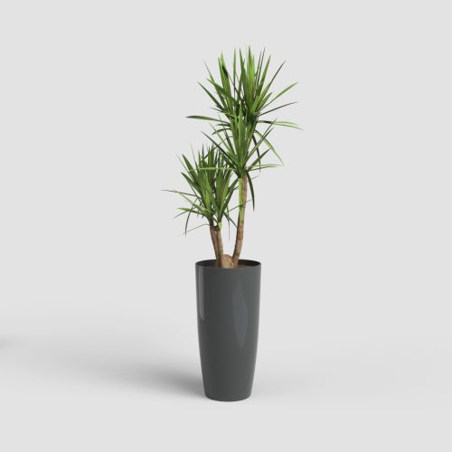 Santorini 40 Gl Anthracite