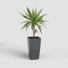 Pisa 40 Gl Anthracite