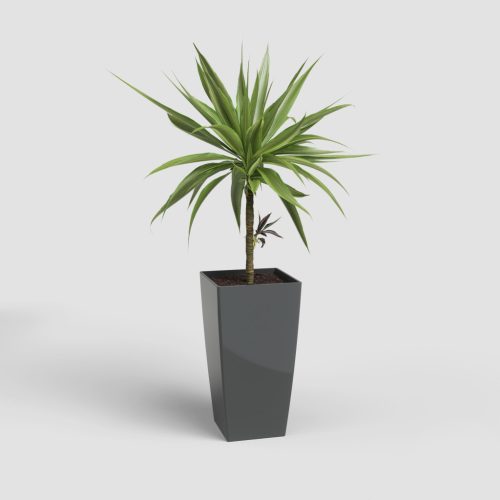 Pisa 40 Gl Anthracite