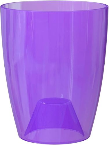 Fiji Orchid 12,5 Gl Purple Transpare