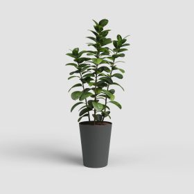 Porto High 40 Ma Anthracite