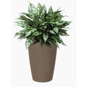 Santorini 78 Gl Taupe