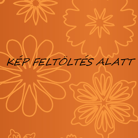 Mûfû Zürich Evolution 40mm 2x4m