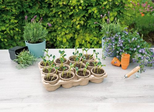 Oázis Papír cseréptálca +12db cserép