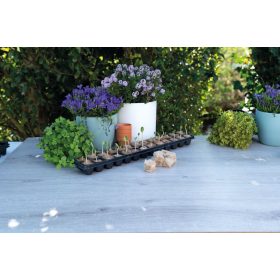 Oázis Jutarost ültetõkockák (78db)