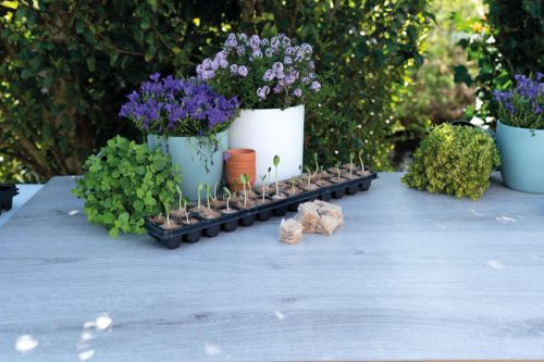 Oázis Jutarost ültetõkockák (78db)