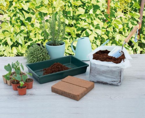 Oázis Kókuszrost tábla (18x18cm) -10